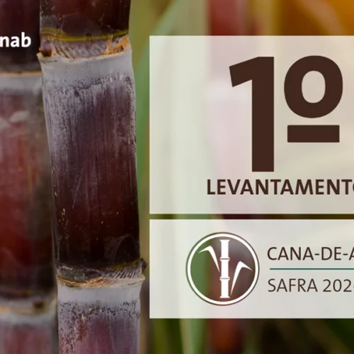 Primeira estimativa traz produção de cana-de-açúcar em 709,1 milhões de toneladas na safra 2026/27