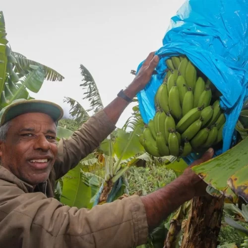 São Paulo bate recorde de R$ 50 milhões em compras da agricultura familiar