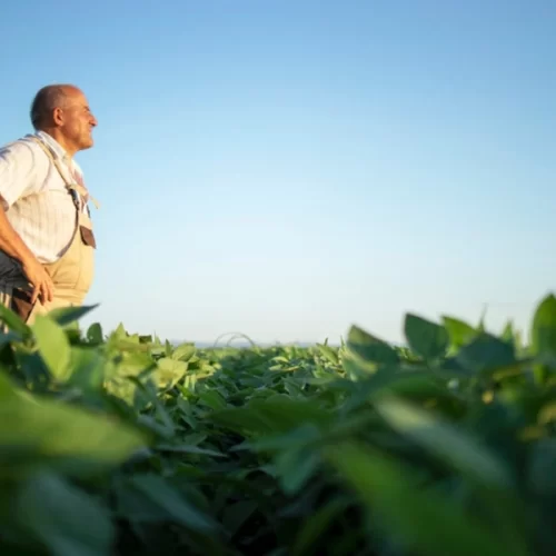 ARTIGO – Estratégico para alimentar o mundo, fertilizante também ajuda a preservar o meio ambiente