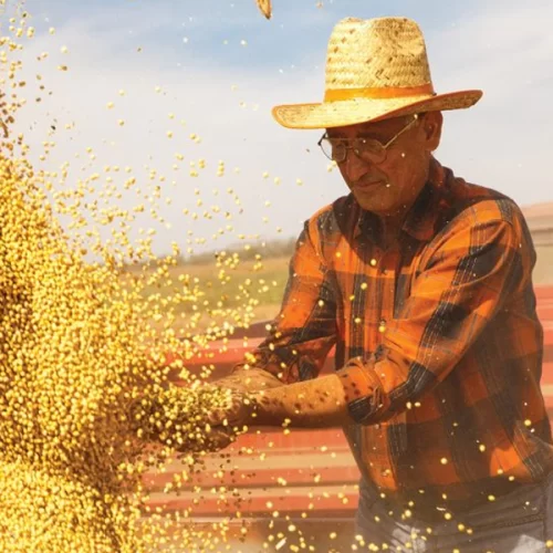 Admissões no setor agropecuário crescem 78,6% entre dezembro e janeiro no Brasil