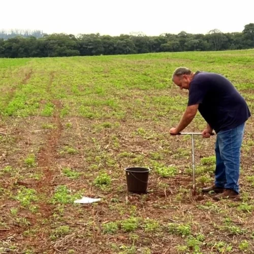 ‘Solo + Fértil’ aumenta a produtividade agrícola em municípios paulistas