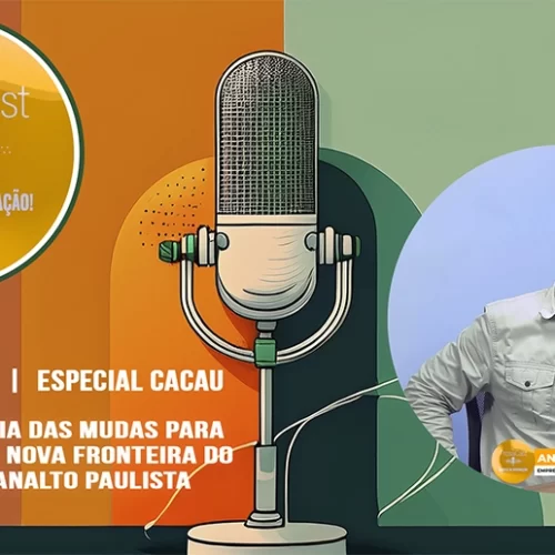 🌱 A IMPORTÂNCIA DAS MUDAS DE CACAU 🍫🌳 PARA ESSA NOVA FRONTEIRA QUE SE ABRIU NO PLANALTO PAULISTA 🗺️🚜
