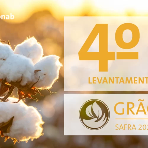 Produção de grãos e área plantada da safra 2025/26 mantém perspectiva de novos recordes