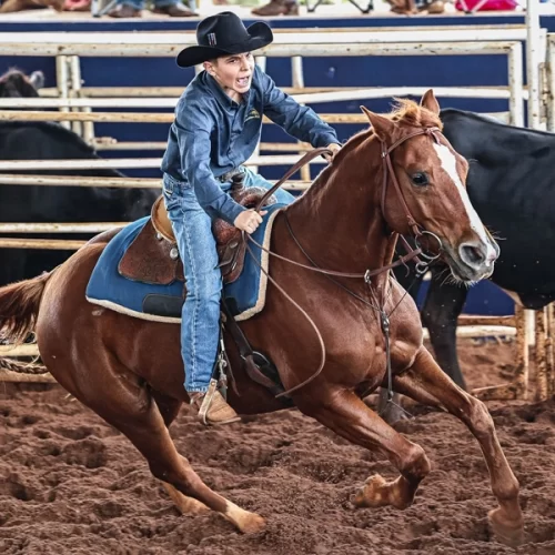 Ranch Sorting estreia na 62ª EXPO Rio Preto com prova solidária e premiação de R$ 67,5 mil