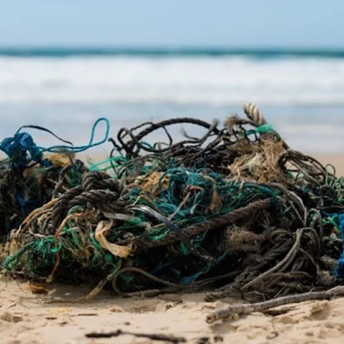Instituto de Pesca firma parceria com a UFRPE dedicada ao tema dos petrechos de pesca