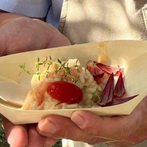 Camarão no inverno: uma alternativa saudável e nutritiva para o cardápio