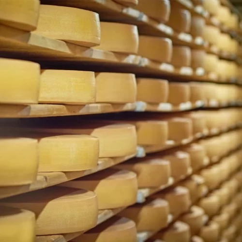 Governo de São Paulo lança a Rota do Queijo Paulista e abre inscrições para produtores