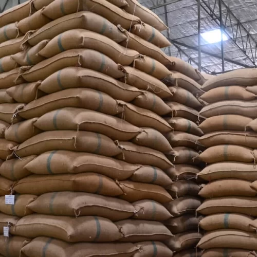 CAFÉ/CEPEA: Retirada de tarifas de 40% pelos EUA deve favorecer exportação brasileira