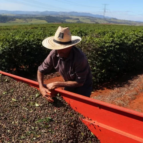 São Paulo lidera ranking nacional de investimento em Seguro Rural