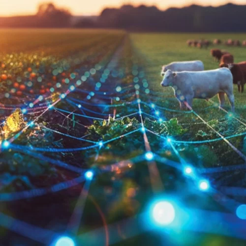 São Paulo moderniza a emissão de guias do transporte agropecuário