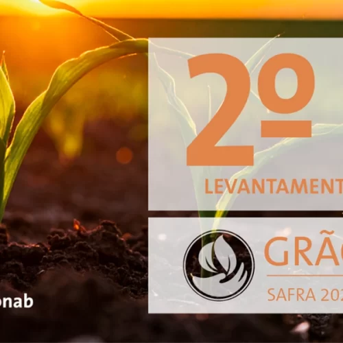 Produção de grãos é estimada pela Conab em 354,8 milhões de toneladas na safra 2025/26