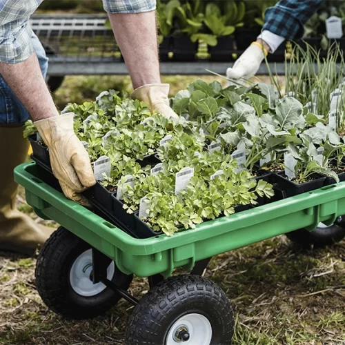 Sementes inteligentes impulsionam produtividade e reduzem perdas no campo