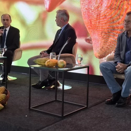 Mapa e IICA promovem seminário para dialogar a validação de ações estratégicas para a implementação do Projeto Cacau Brasil Agrofloresta