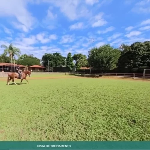 Senar lança tour virtual em equinocultura