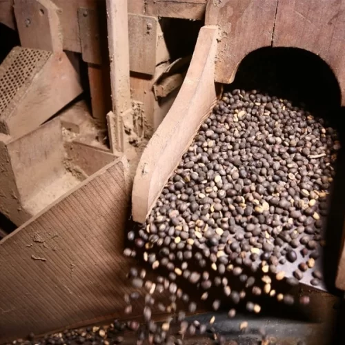 Nova Alta Paulista conquista Indicação Geográfica paulista com apoio da Secretaria de Agricultura do Estado de São Paulo