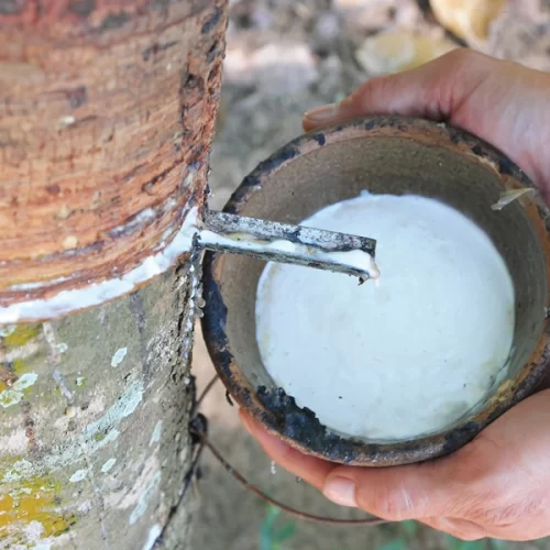 Faesp pede manutenção da alíquota de importação da borracha natural de 10,8%