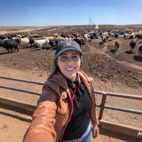 ARTIGO – A força feminina que transforma o agro Brasileiro