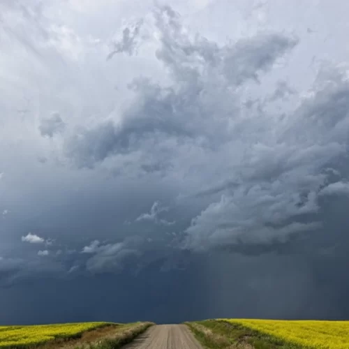 Inmet: semana deve ter chuva no País, sobretudo no Norte, Sul e parte do Centro-Oeste