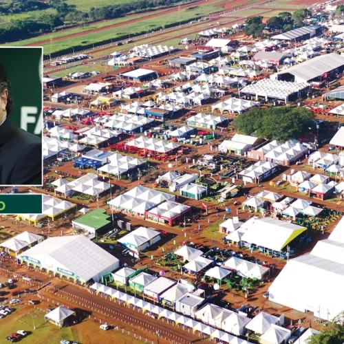 Três décadas de evolução no campo