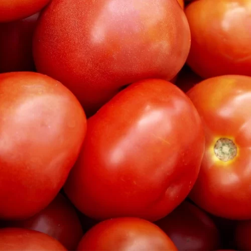 TOMATE/CEPEA: Preços sobem com força no atacado