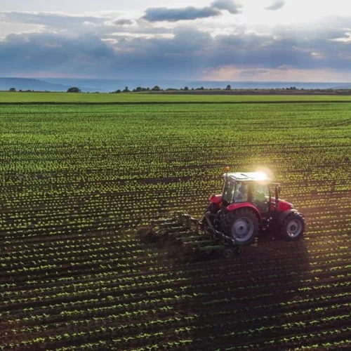 Relatório da Faesp aponta redução no desembolso do crédito rural na safra 2024/25