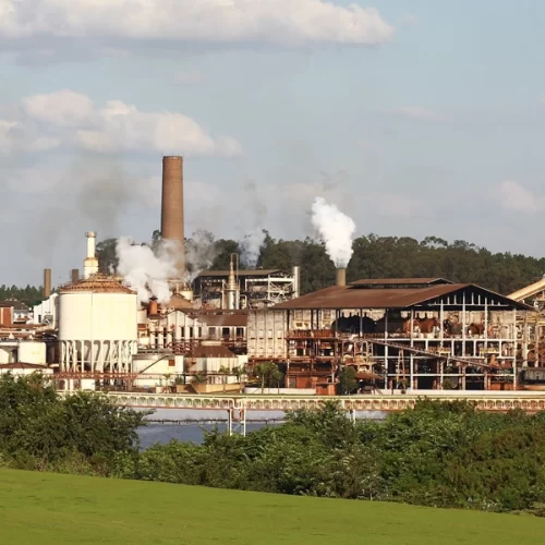 Com preço do açúcar abaixo do custo, São Martinho vira foco para etanol