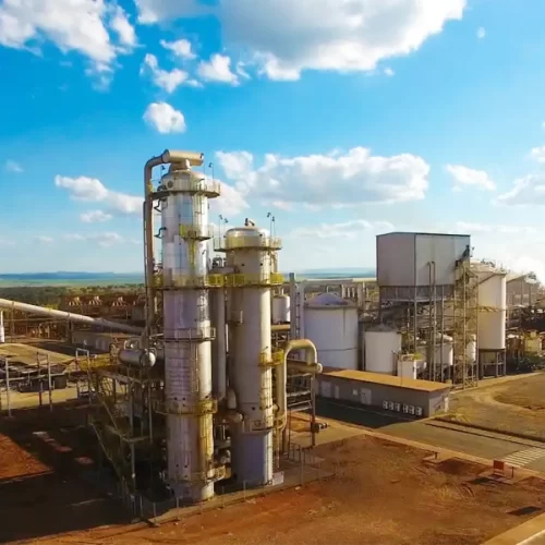 São Martinho é multada em R$ 5 milhões por dispensar trabalhadores idosos