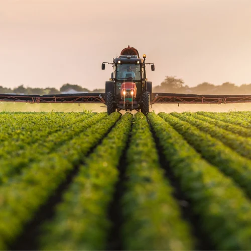 Uso de adjuvantes agrícolas reduz perdas e melhora eficiência de defensivos 