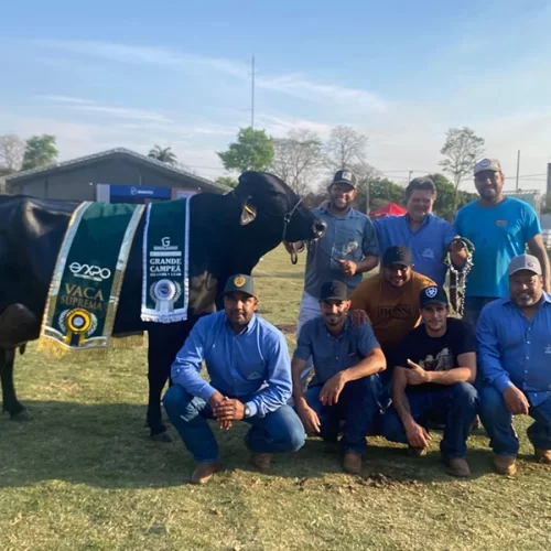 EXPO Rio Preto encerra primeira etapa com julgamento de raças e título inédito de “Vaca Suprema”
