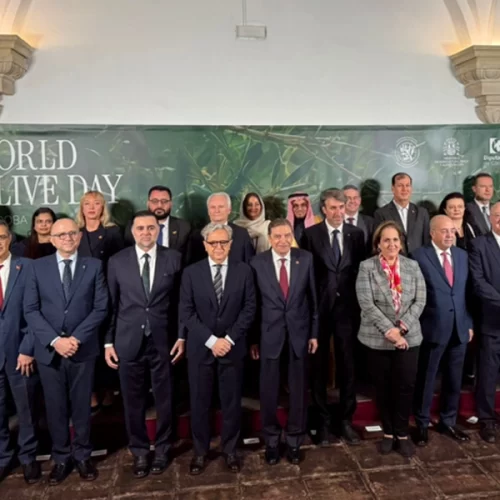Brasil destaca avanços na qualidade do azeite durante celebração do World Olive Day