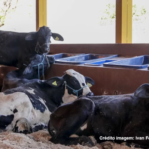 62ª EXPO Rio Preto entra em contagem regressiva para primeira etapa