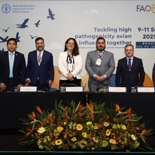 Brasil recebeu diálogo global inédito sobre influenza aviária promovido pela FAO