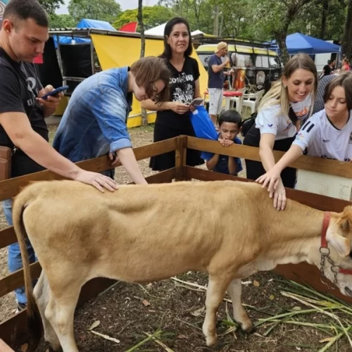 Venha conhecer o Instituto de Zootecnia no evento “Apta Portas Abertas”