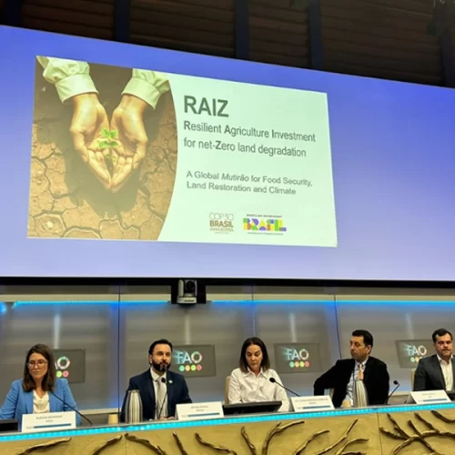 Iniciativa brasileira RAIZ ganha visibilidade internacional em evento da FAO, em Roma