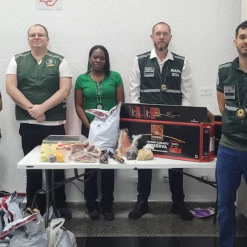 Presunto pata negra, bacalhau e outros itens proibidos são apreendidos em cruzeiro