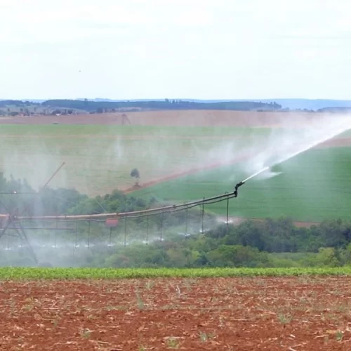 Governo de SP chega a R$ 56 milhões investidos em irrigação sustentável